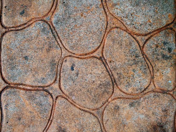 Concrete Stamping in Auburn