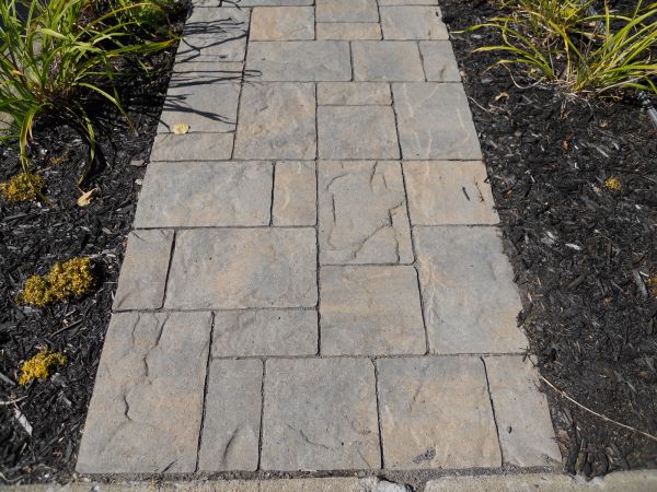 Cost of Stamped Concrete Staining in Auburn