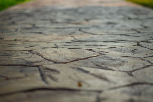 Sidewalk Imprinting in Auburn