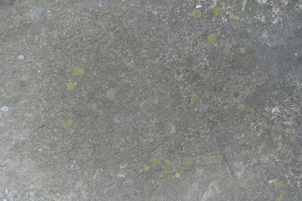 Cost of Slab Staining Service in Auburn